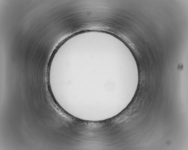 X0000090760848200708101746