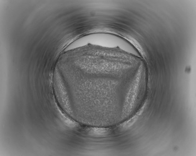 X0000090760849200708101746