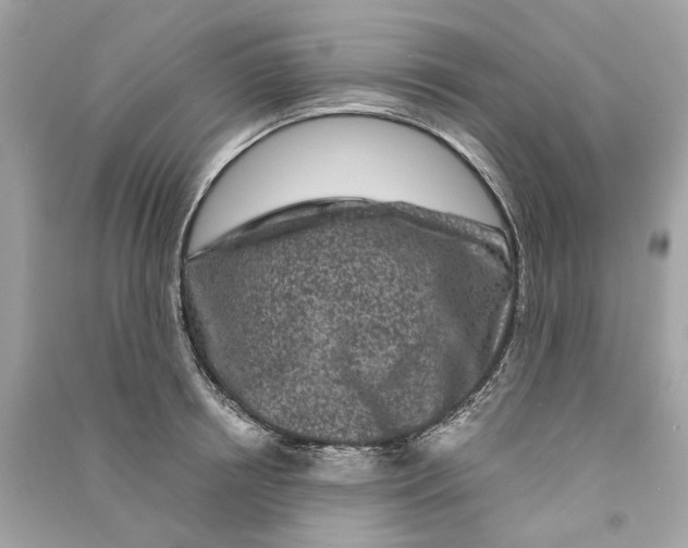 X0000090760850200708101746