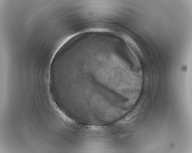 X0000090760852200708101746