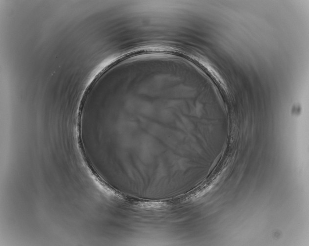 X0000090760853200708101746