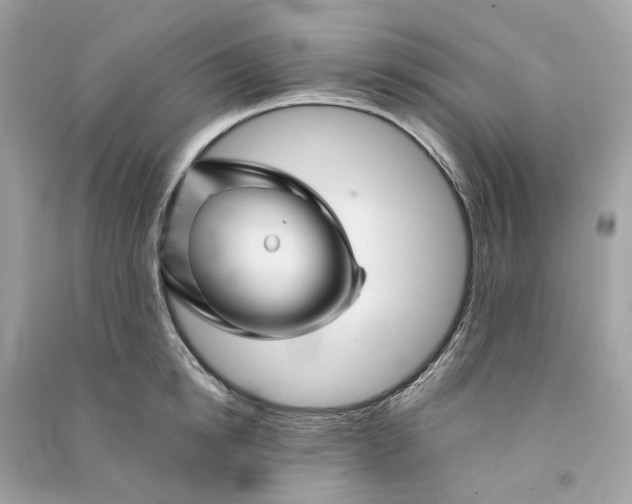 X0000090760854200708101746