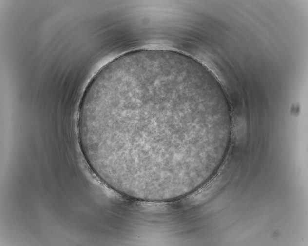 X0000090760856200708101746