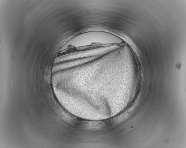 X0000090760857200708101746