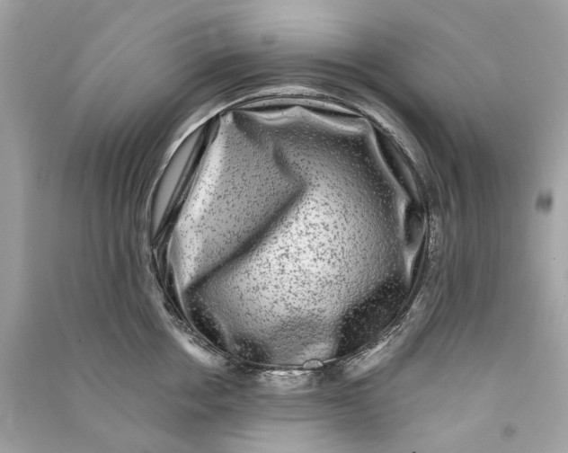 X0000090760858200708101746