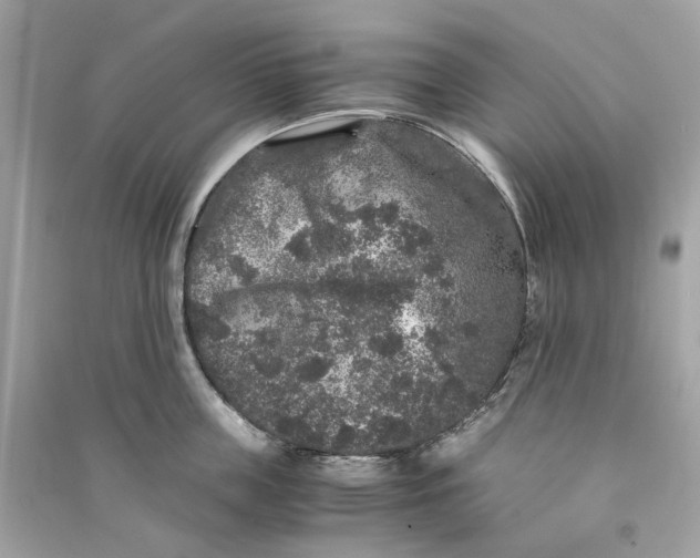 X0000090760859200708101746