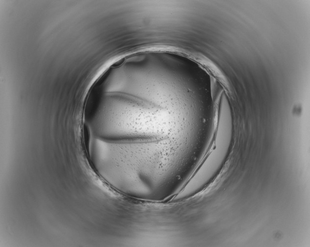 X0000090760860200708101746