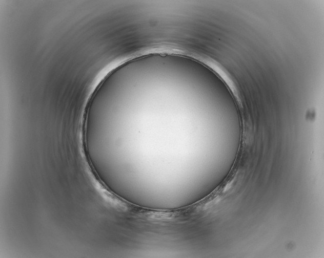 X0000090760861200708101746