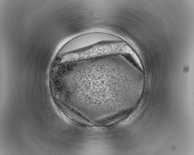 X0000090760862200708101746