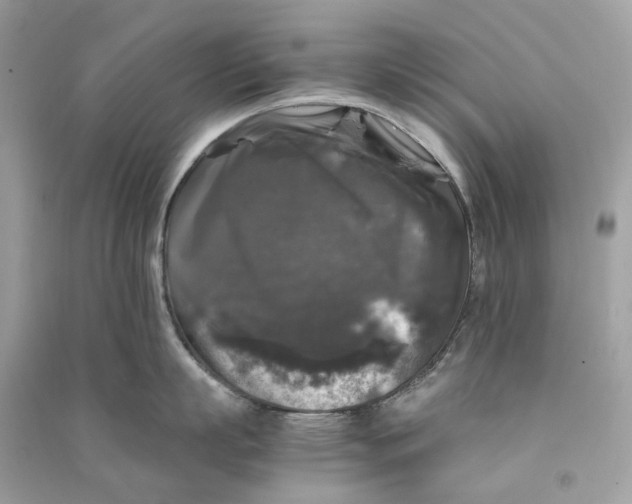 X0000090760863200708101746