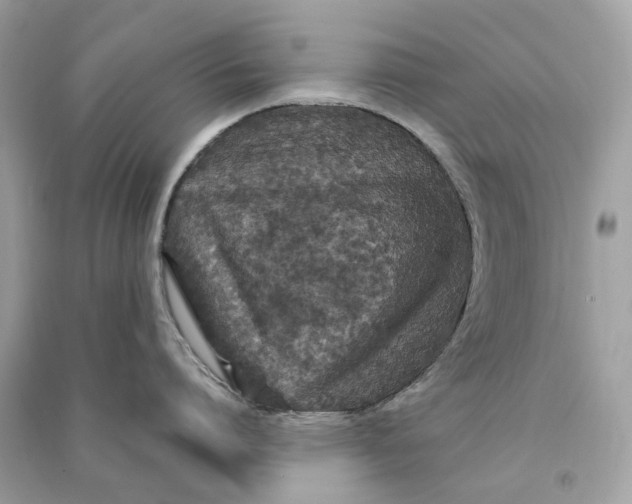 X0000090760864200708101746