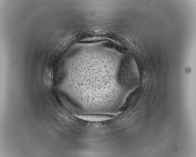 X0000090760866200708101745