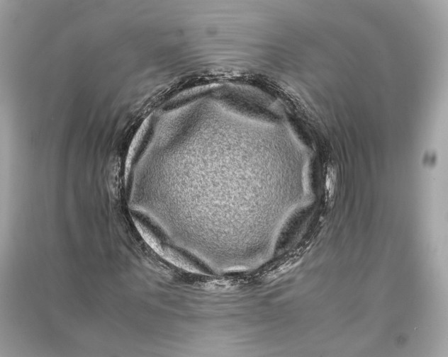 X0000090760867200708101745