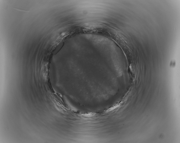 X0000090760868200708101745