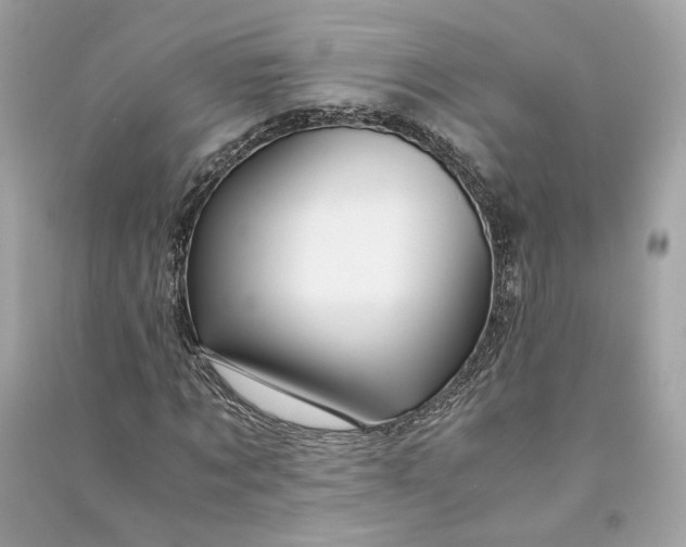 X0000090760869200708101745