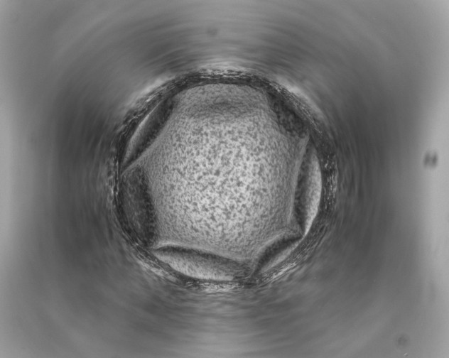 X0000090760870200708101745