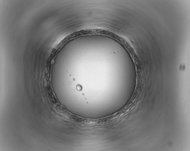 X0000090760871200708101745