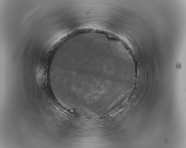 X0000090760872200708101745