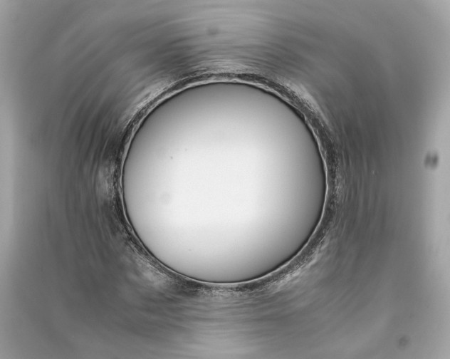 X0000090760873200708101745