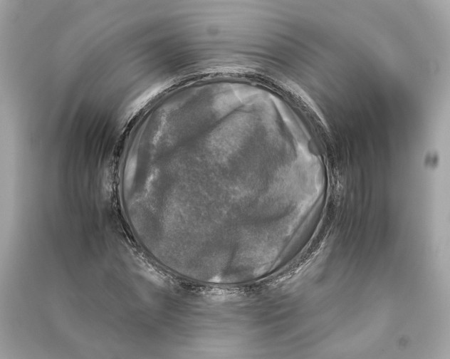 X0000090760874200708101745