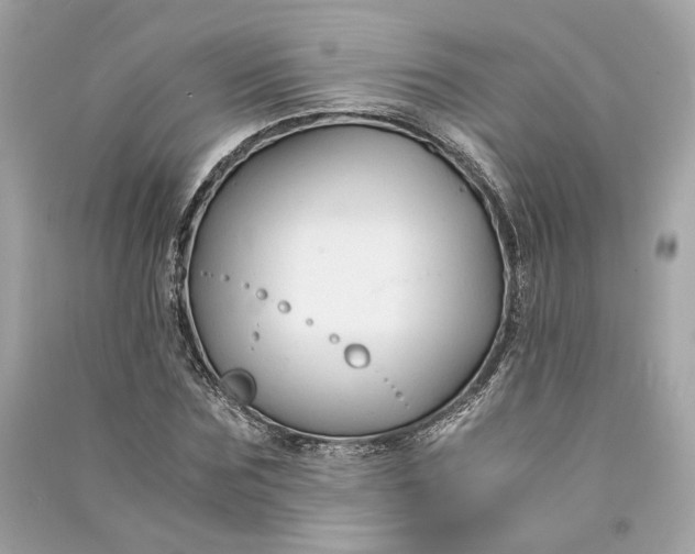 X0000090760875200708101745