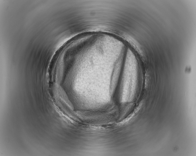 X0000090760876200708101745