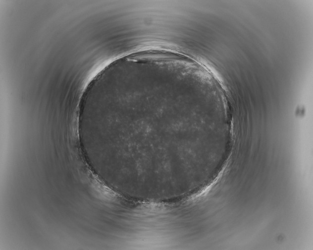 X0000090760877200708101745