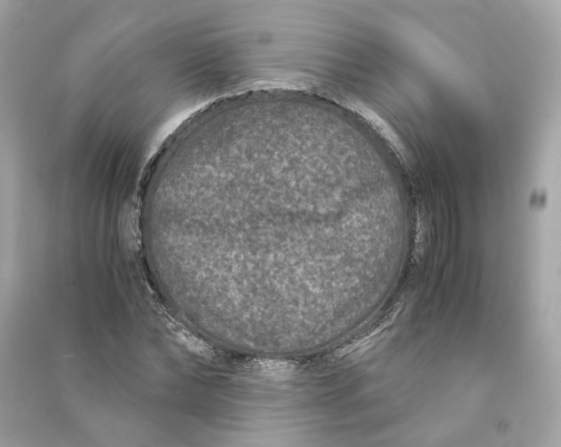 X0000090760878200708101745