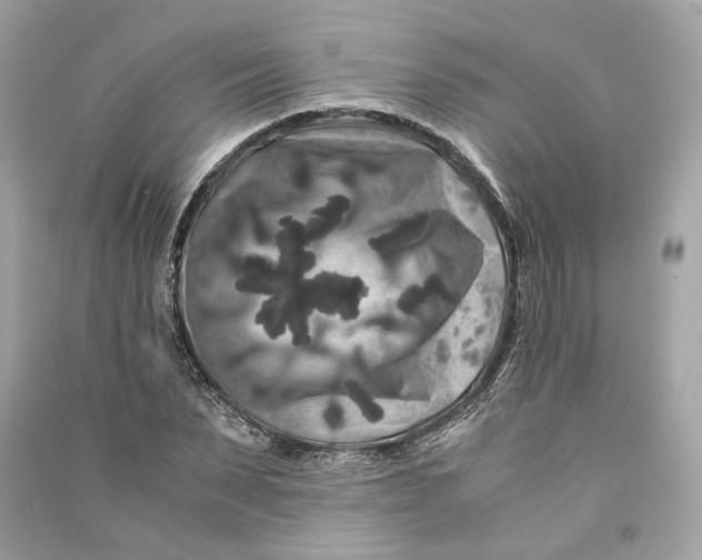 X0000090760879200708101745