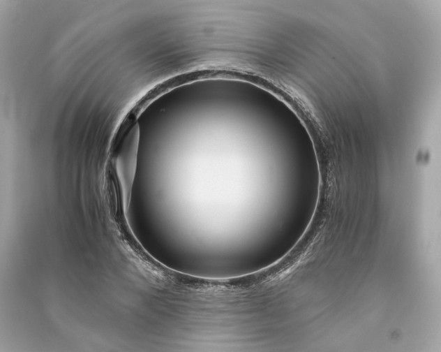 X0000090760880200708101745