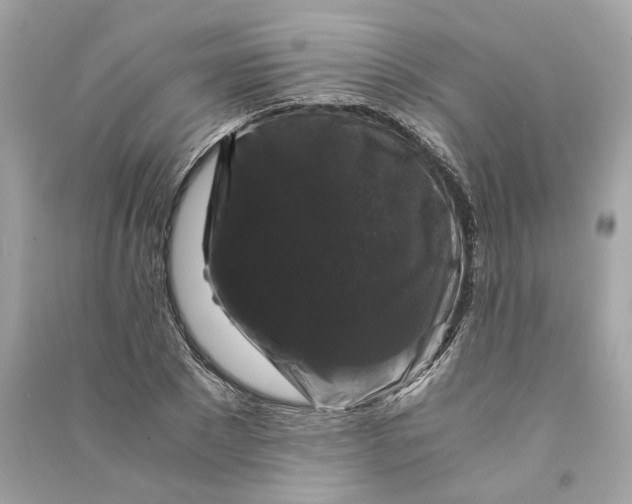 X0000090760881200708101745