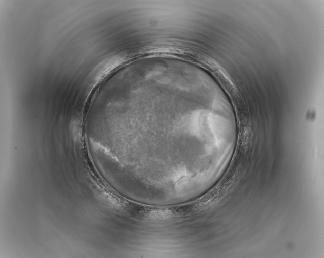 X0000090760882200708101745