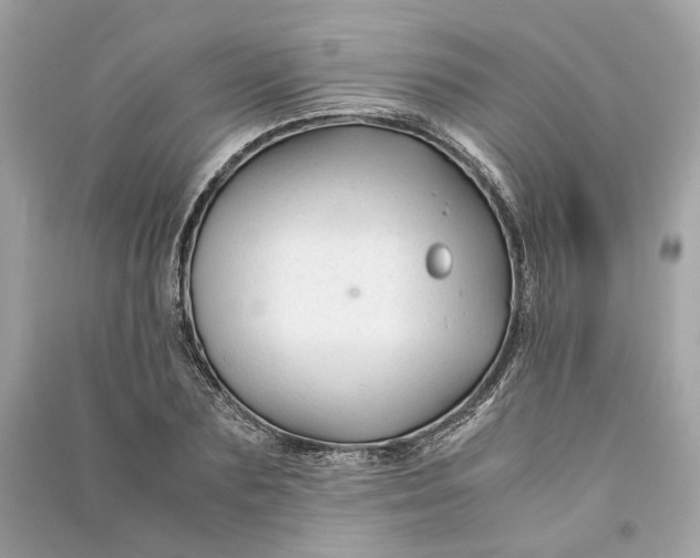 X0000090760883200708101745