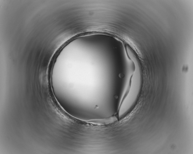 X0000090760884200708101745