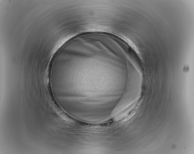 X0000090760885200708101745