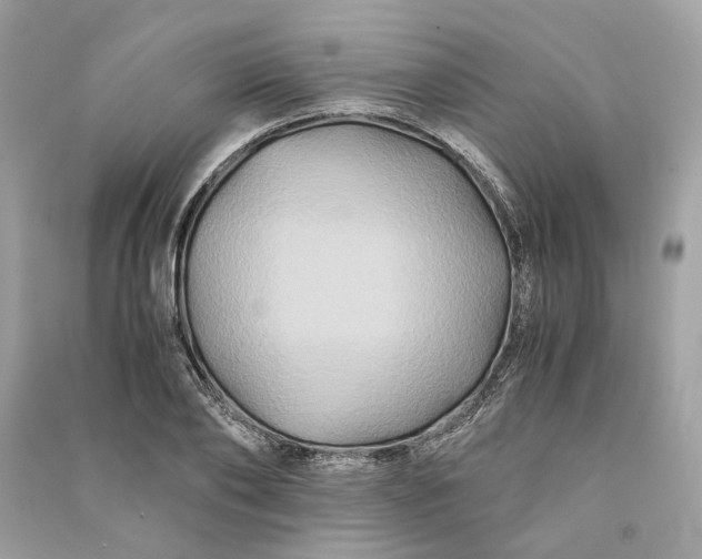 X0000090760886200708101745