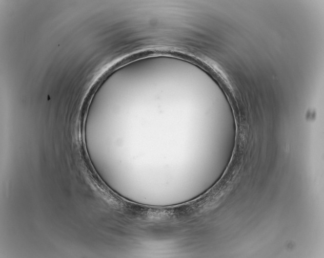 X0000090760887200708101745