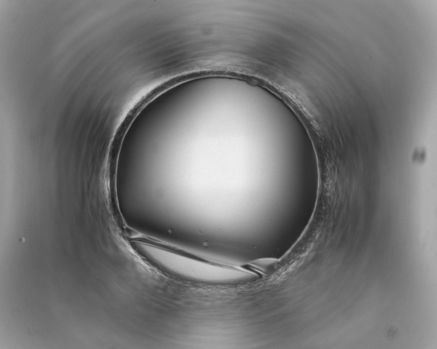 X0000090760888200708101745