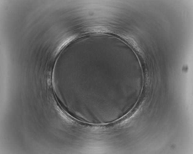 X0000090760889200708101745