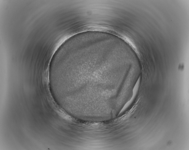 X0000090760891200708101745