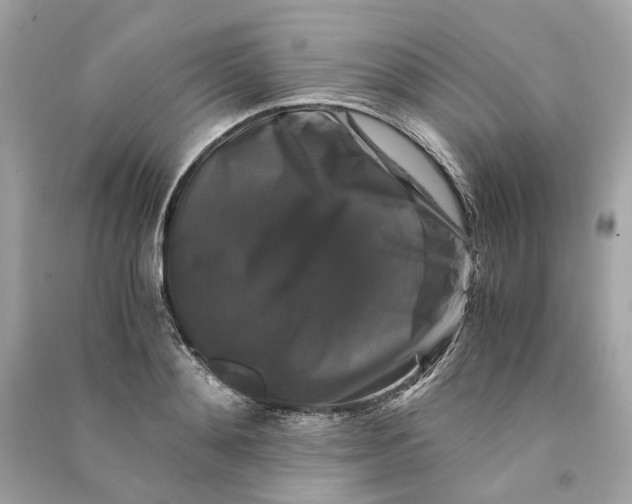 X0000090760892200708101745