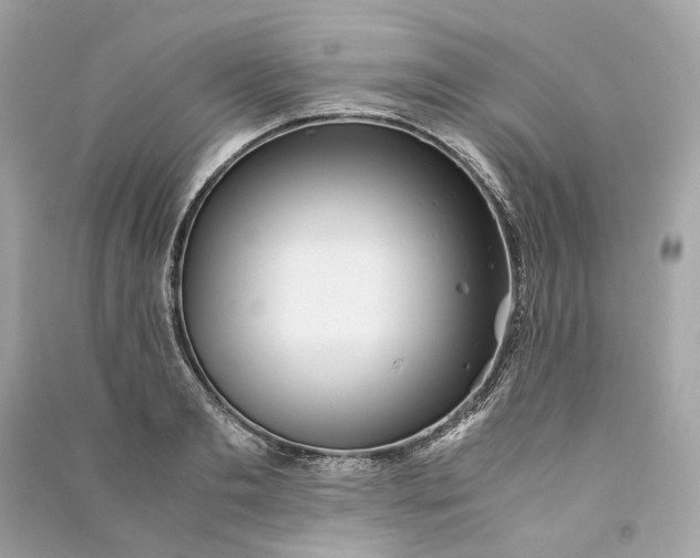 X0000090760893200708101745