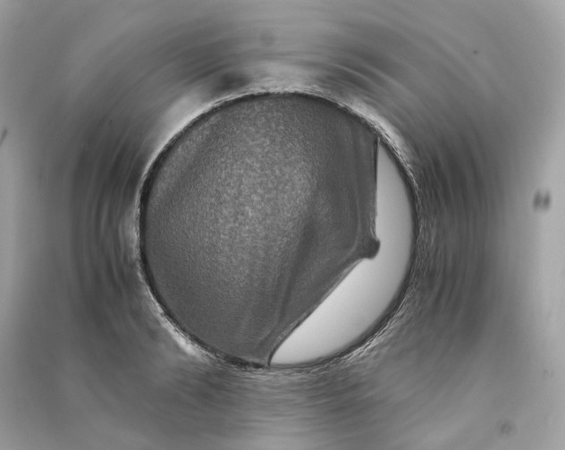 X0000090760894200708101745