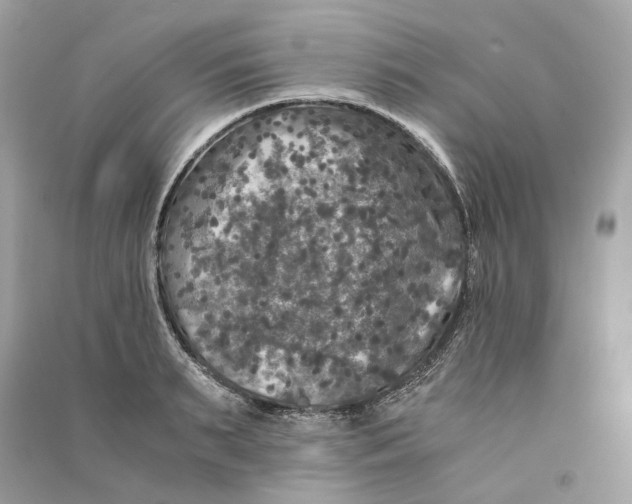 X0000090760895200708101745