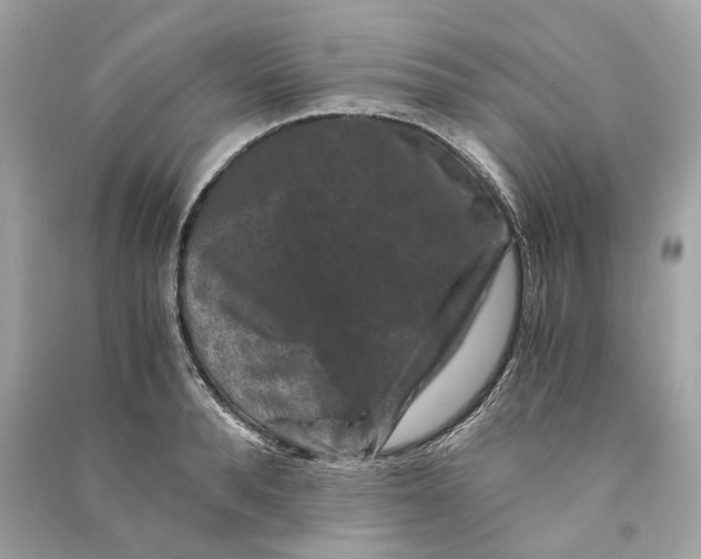 X0000090760896200708101745