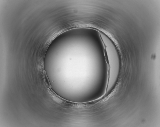 X0000090760897200708101745