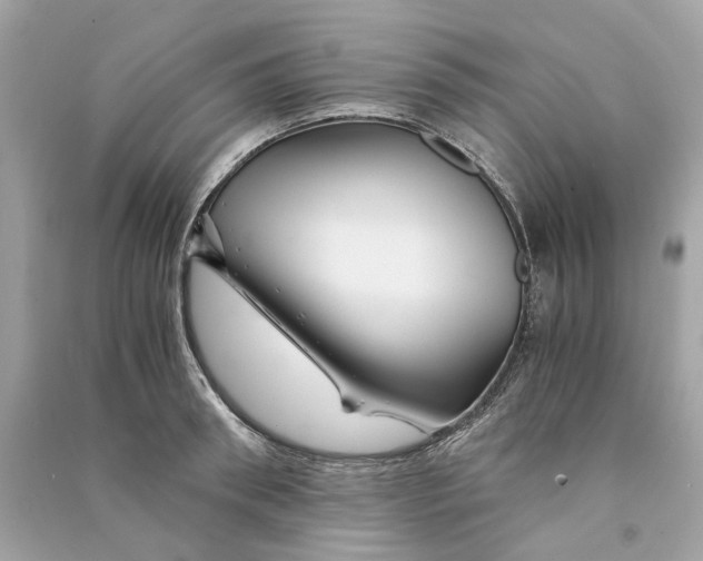 X0000090760898200708101745