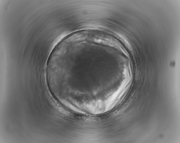 X0000090760899200708101745