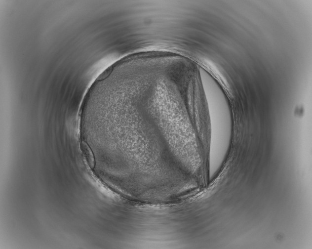 X0000090760900200708101745