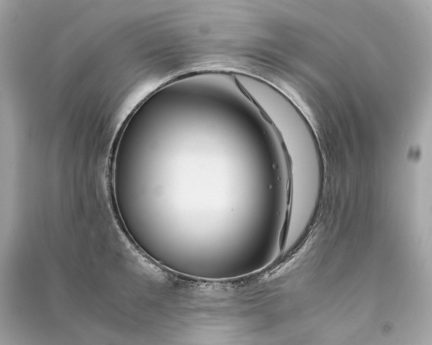 X0000090760901200708101745